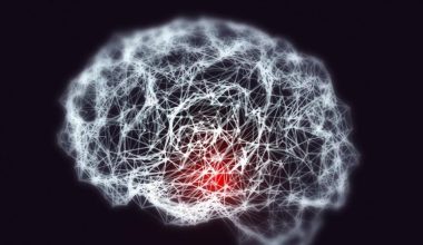 World Alzheimer Report 2026 destaca a ReDLat como una historia de éxito en investigación sobre demencias