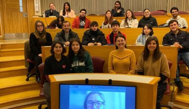 PowerArtMinds: Arte, Salud Cerebral y Prosocialidad para la comunidad de Peñalolén