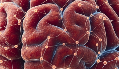 BrainLat UAI presenta su Newsletter Anual 2025