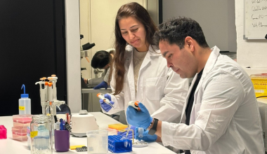 BrainLat UAI lidera nueva mención en Salud Cerebral del Doctorado en Neurociencia Social y Cognición