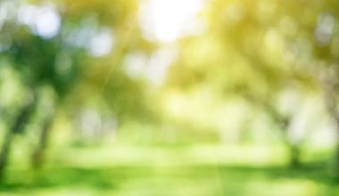 BrainLat UAI participa en informe internacional sobre cambio climático y salud cerebral