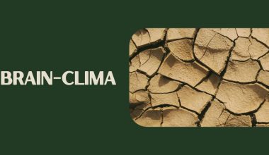 Proyecto BRAIN-CLIMA se adjudica financiamiento para estudiar el impacto del calor y la contaminación en el envejecimiento cerebral en América Latina